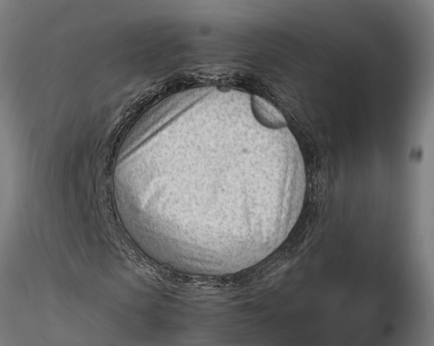 X0000115680913200912031415