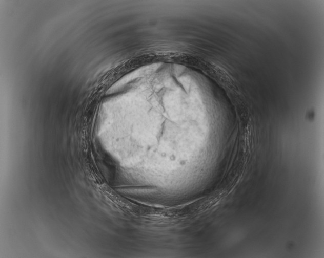 X0000115680917200912031416