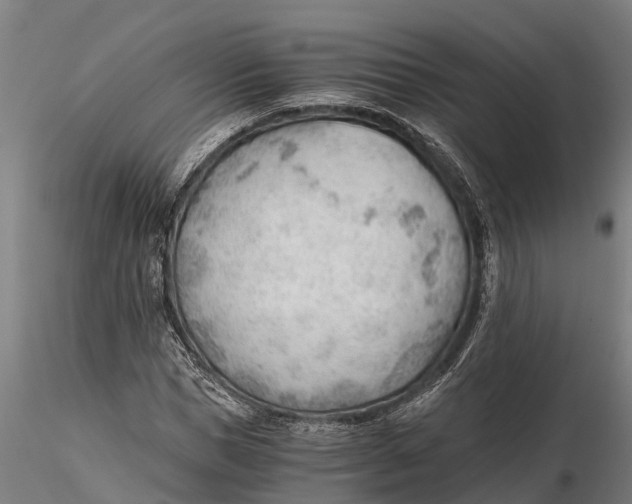 X0000115680921200912031416