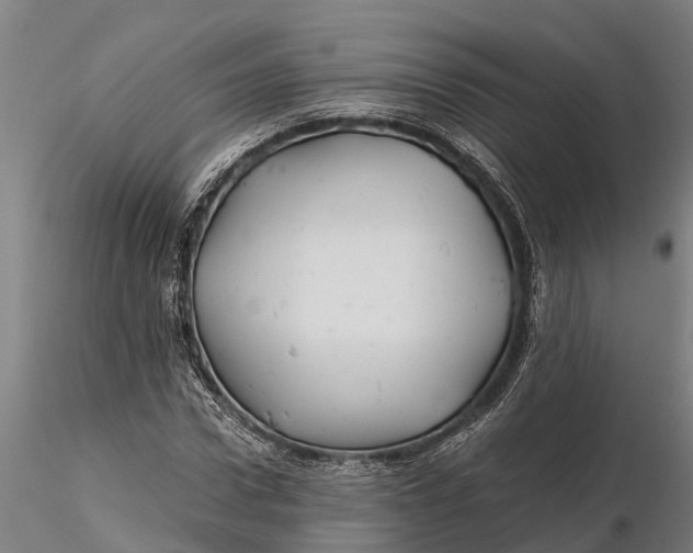 X0000115680922200912031416