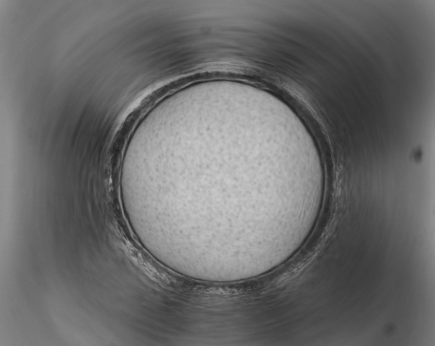 X0000115680923200912031416