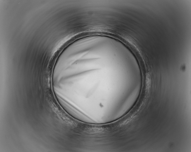 X0000115680925200912031416