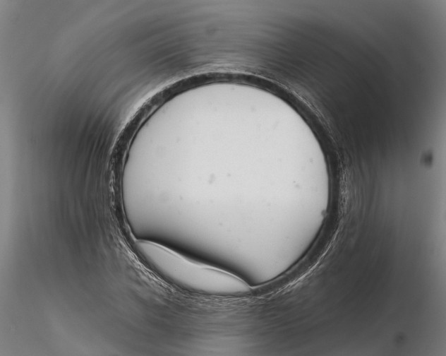 X0000115680926200912031416