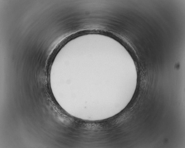 X0000115680927200912031416