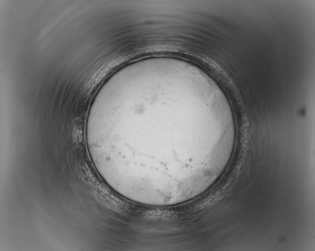 X0000115680929200912031416