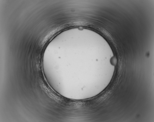 X0000115680930200912031416