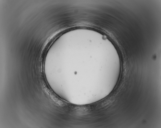 X0000115680931200912031416