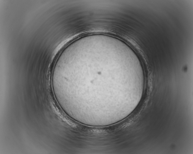 X0000115680933200912031416