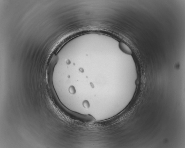 X0000115680934200912031416