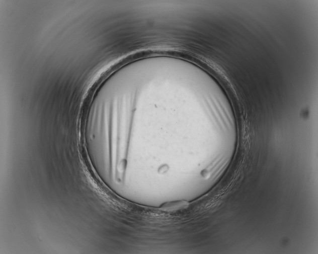 X0000115680935200912031416