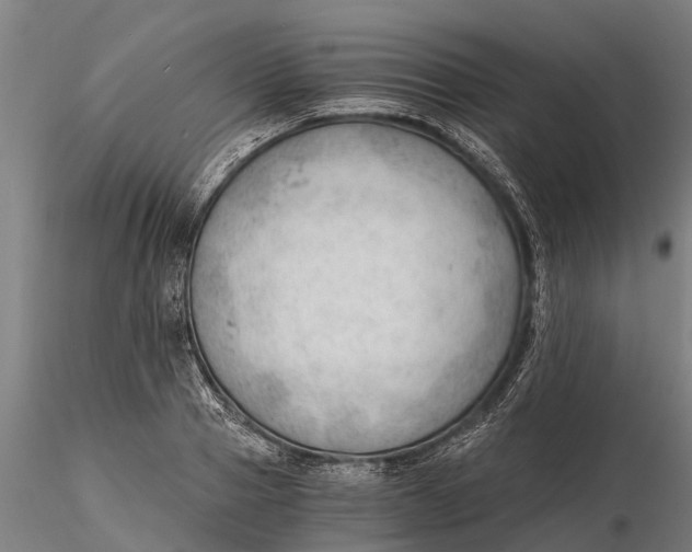 X0000115680937200912031416