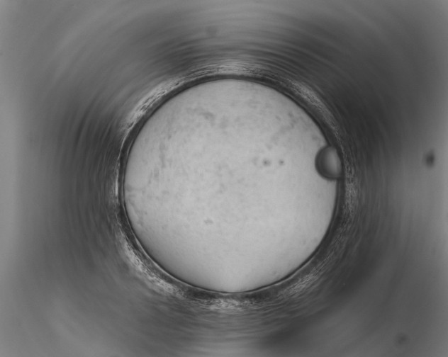 X0000115680938200912031416