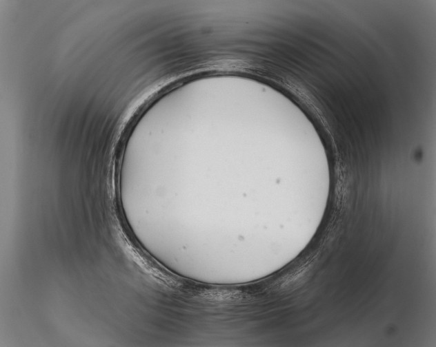 X0000115680939200912031416