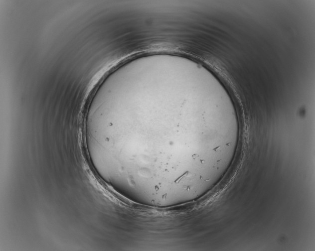 X0000115680941200912031416