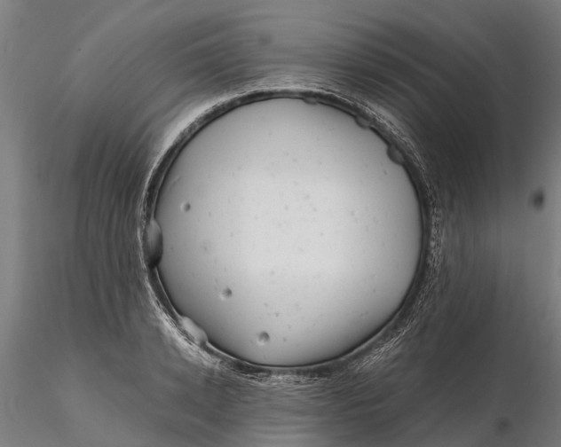 X0000115680942200912031416