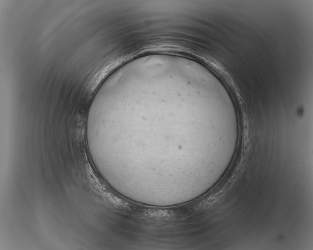 X0000115680945200912031416