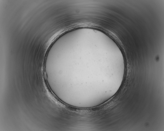 X0000115680946200912031416