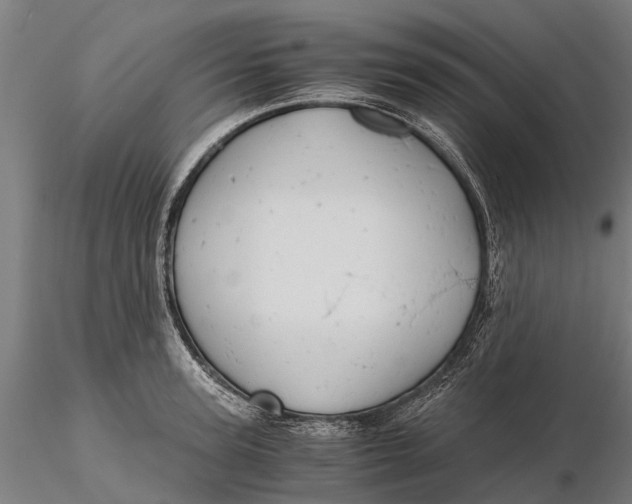 X0000115680947200912031416