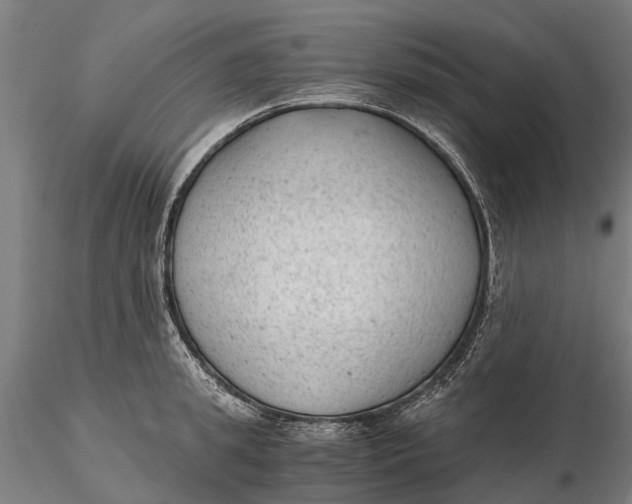 X0000115680949200912031416