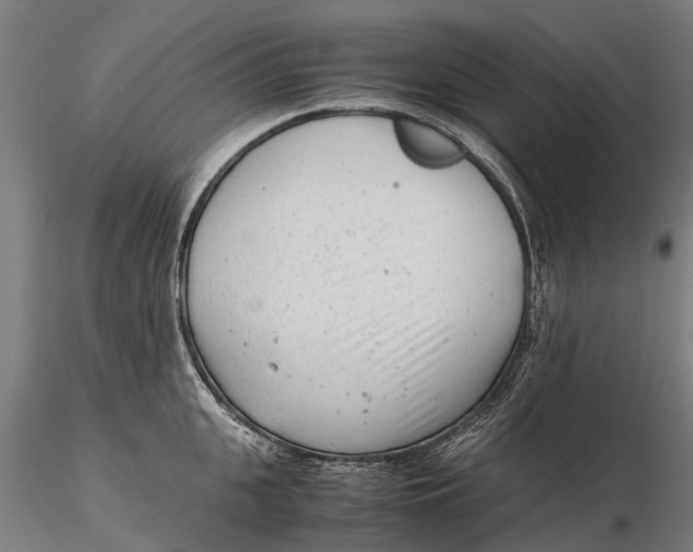 X0000115680951200912031416