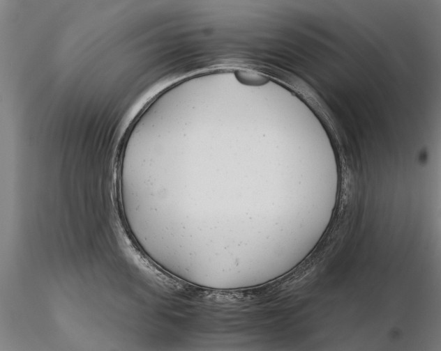 X0000115680955200912031416