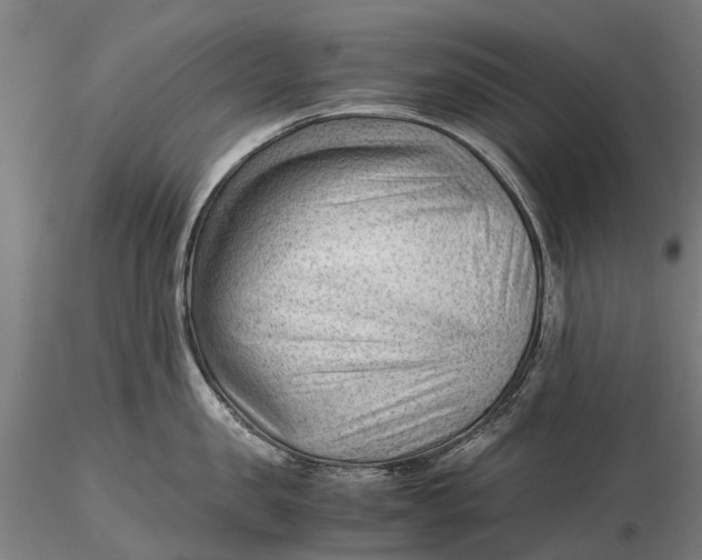 X0000115680957200912031416