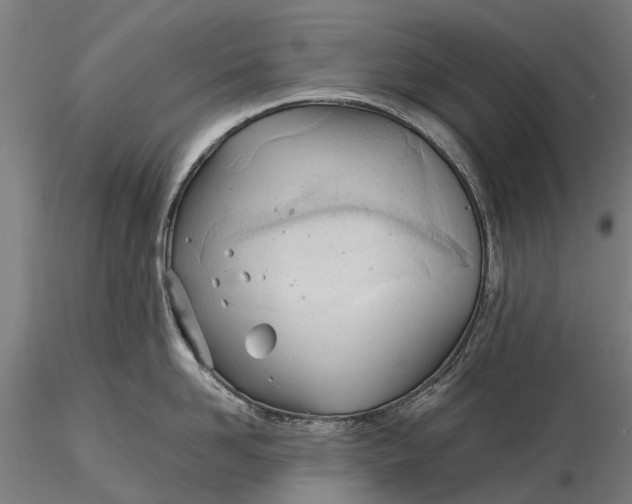 X0000115680958200912031416