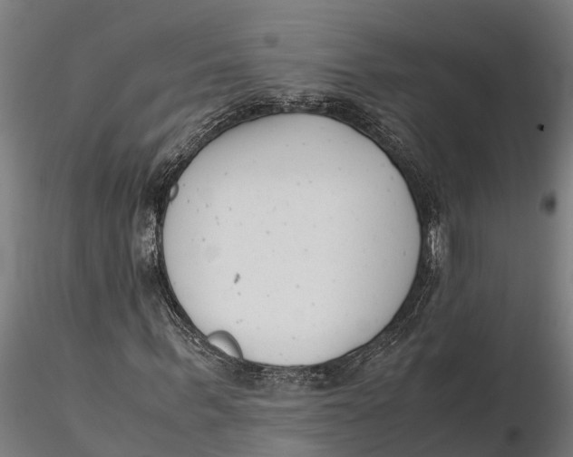 X0000115680963200912031415