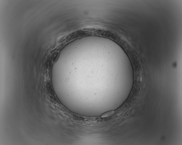 X0000115680965200912031415