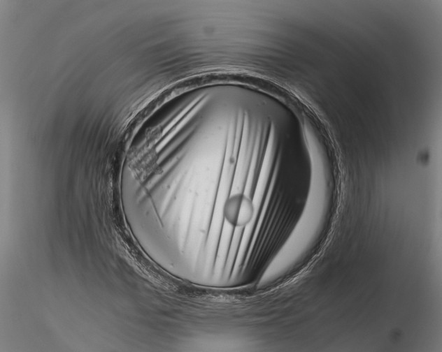 X0000115680969200912031415