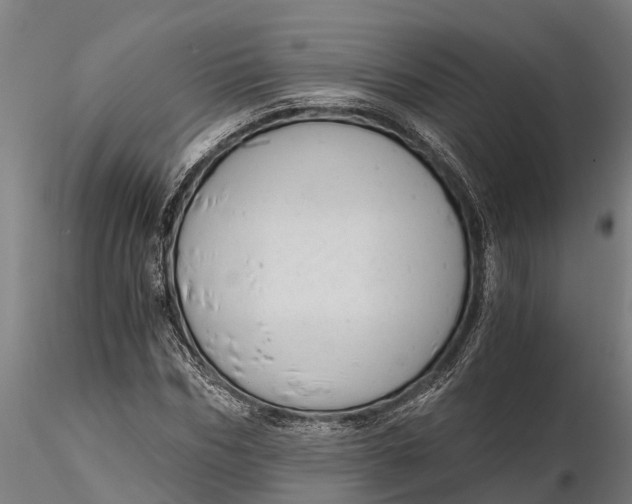 X0000115680970200912031415