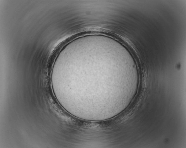 X0000115680971200912031415