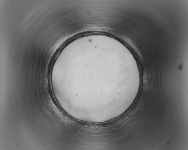 X0000115680972200912031415