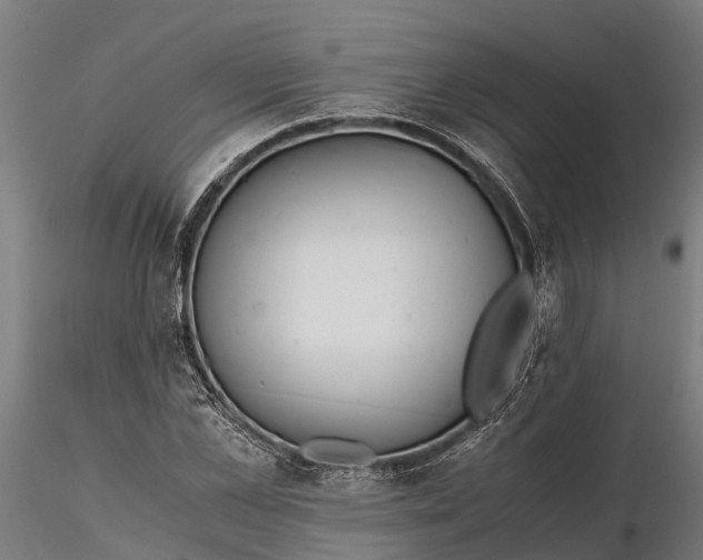 X0000115680973200912031415