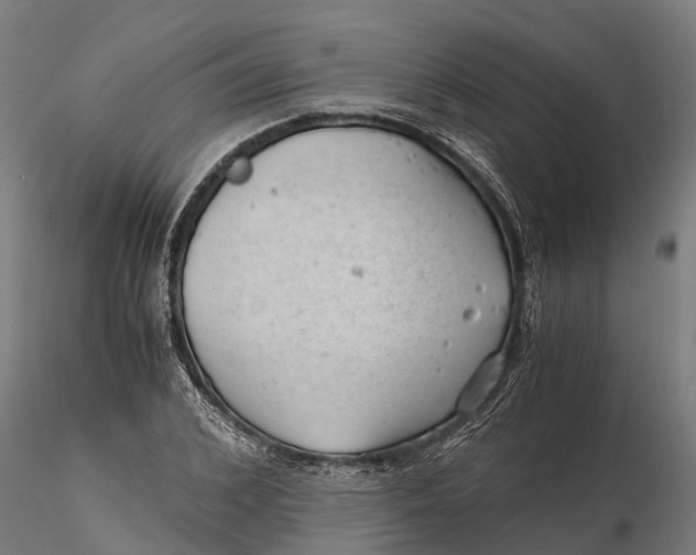 X0000115680976200912031415