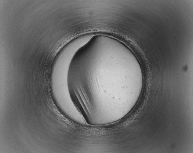 X0000115680977200912031415