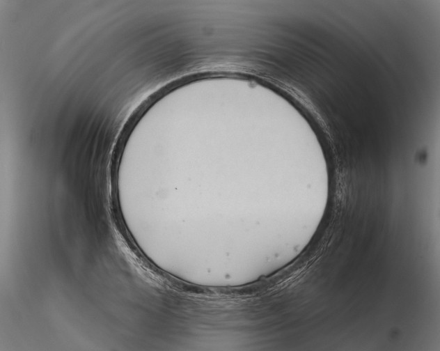 X0000115680980200912031415