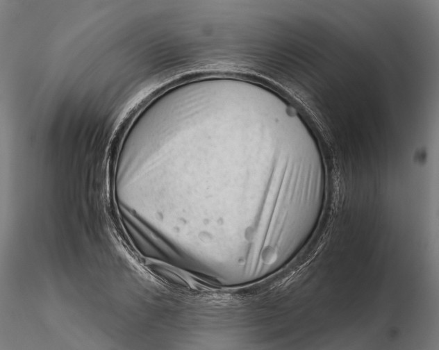 X0000115680982200912031415