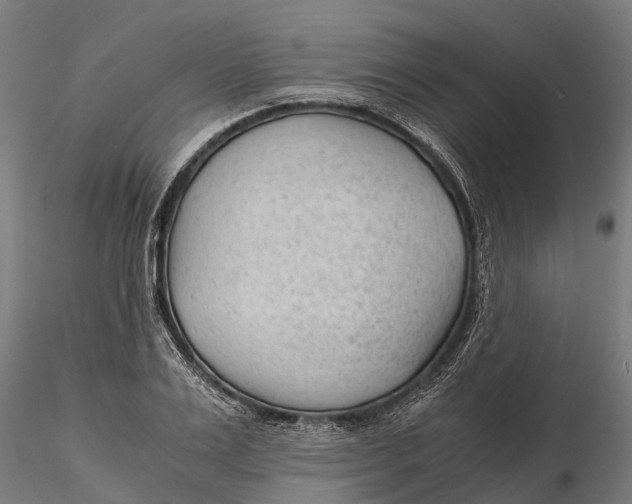 X0000115680983200912031415