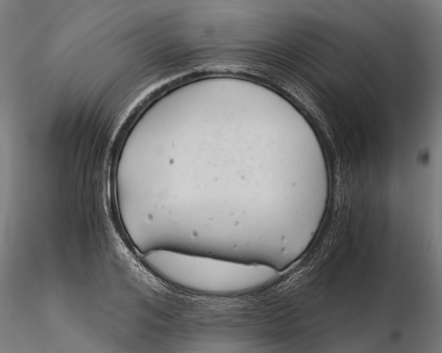 X0000115680984200912031415