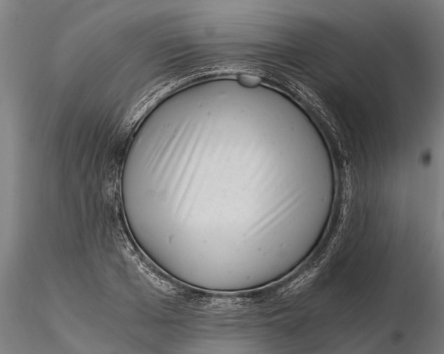 X0000115680985200912031415