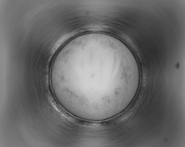 X0000115680986200912031415