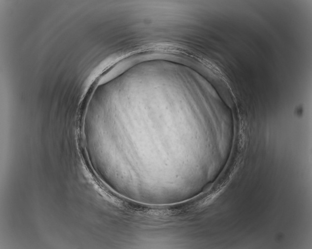 X0000115680989200912031415