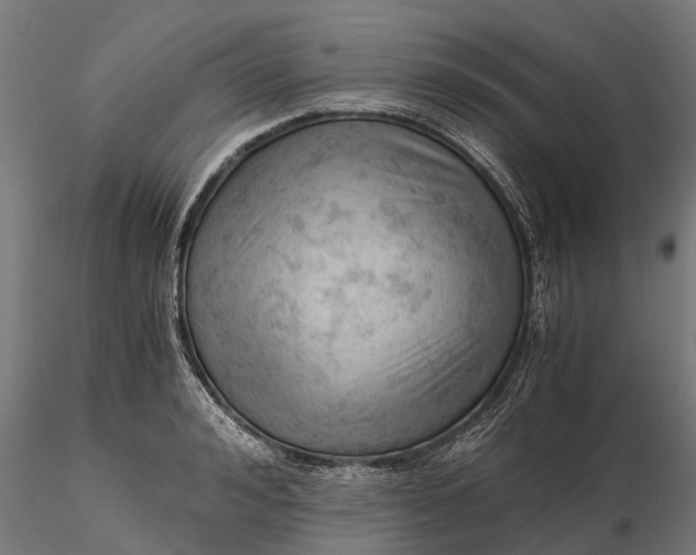 X0000115680992200912031415