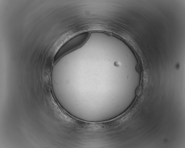 X0000115680993200912031415