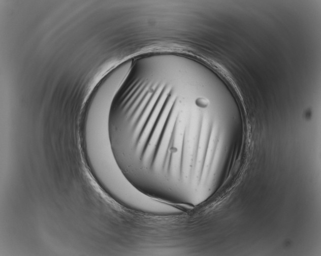 X0000115680997200912031415