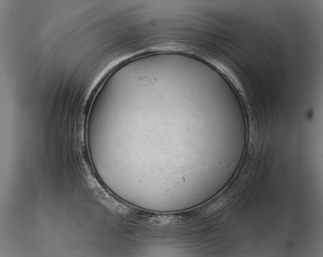 X0000115681000200912031415