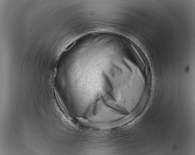 X0000115681001200912031415