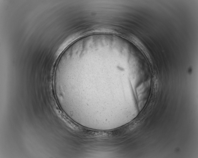 X0000115681002200912031415