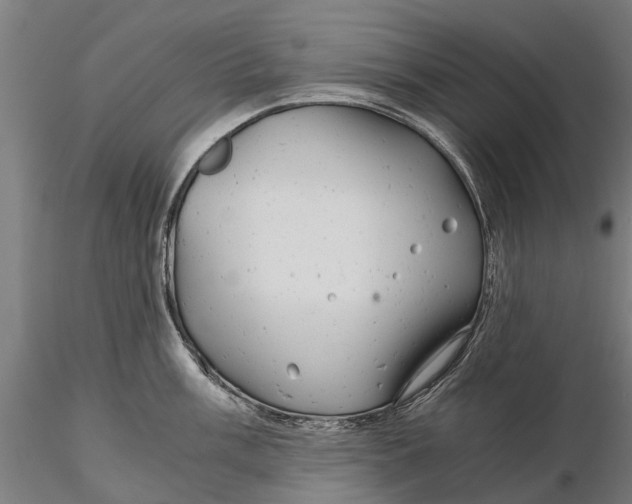 X0000115681003200912031415